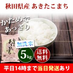 米 無洗米 5kg 秋田県産 あきたこまち 令和6年産 一等米 お米 5kg 送料無料 北海道・沖縄は追加送料 即日発送 5キロ お中元
