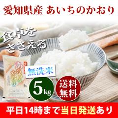 お米 北海道産 ゆめぴりか 精白米 20kg（5kg×4袋） 令和7年産