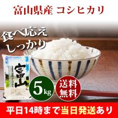 �� 5kg �x�R���Y �R�V�q�J�� �ߘa7�N�Y �ꓙ�� ���� 5kg �������� �k�C���E����͒ǉ����� �c�Ɠ�14���܂ő����������� 5�L��