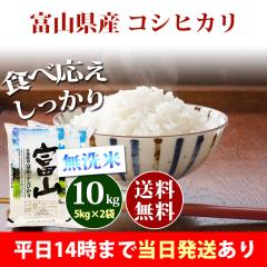 �� ������ 10kg �x�R���Y �R�V�q�J�� 5kg�~2�� �ߘa7�N�Y �ꓙ�� ���� 10kg �������� �k�C���E����͒ǉ����� �c�Ɠ�14���܂ő���������