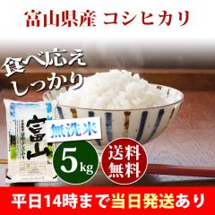 �� ������ 5kg �x�R���Y �R�V�q�J�� �ߘa7�N�Y �ꓙ�� ���� 5kg �������� �k�C���E����͒ǉ����� �c�Ɠ�14���܂ő����������� 5�L��