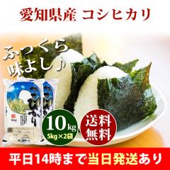 �� 10kg ���m���Y �R�V�q�J�� 5kg�~2�� �ߘa7�N�Y ���� 10kg �������� �k�C���E����͒ǉ����� �c�Ɠ�14���܂ő����������� 10�L��