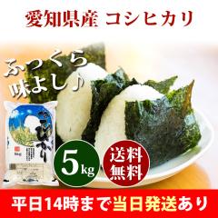 �� 5kg ���m���Y �R�V�q�J�� �ߘa7�N�Y ���� 5kg �������� �k�C���E����͒ǉ����� �c�Ɠ�14���܂ő����������� 5�L��
