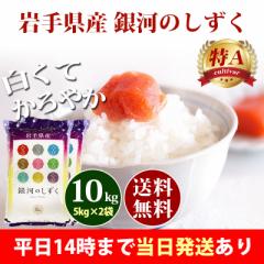 米 10kg 岩手県産 銀河のしずく 5kg×2袋 令和6年産 特A 一等米 お米 10kg 送料無料 北海道・沖縄は追加送料 即日発送 10キロ