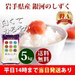 米 5kg 岩手県産 銀河のしずく 令和6年産 特A 一等米 お米 5kg 送料無料 北海道・沖縄は追加送料 即日発送 5キロ