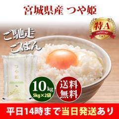 米 10kg 宮城県産 つや姫 5kg×2袋 令和6年産 特A 一等米 お米 10kg 送料無料 北海道・沖縄は追加送料 即日発送 10キロ