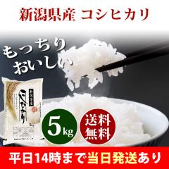 �� 5kg �V�����Y �R�V�q�J�� �ߘa7�N�Y ���� 5kg �������� �k�C���E����͒ǉ����� �c�Ɠ�14���܂ő����������� 5�L��