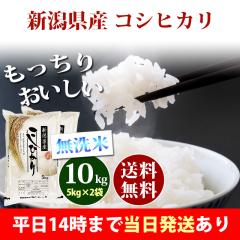 �� ������ 10kg �V�����Y �R�V�q�J�� 5kg�~2�� �ߘa7�N�Y ���� 10kg �������� �k�C���E����͒ǉ����� �c�Ɠ�14���܂ő����������� 10�L