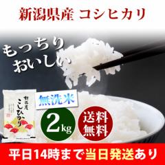 米 無洗米 2kg 新潟県産 コシヒカリ 令和6年産 一等米 お米 2kg 送料無料 北海道・沖縄は追加送料 即日発送 2キロ お中元