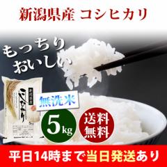 米 無洗米 5kg 新潟県産 コシヒカリ 令和6年産 一等米 お米 5kg 送料無料 北海道・沖縄は追加送料 即日発送 5キロ お中元