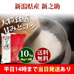  10kg VY VV ̂ 5kg~2 ߘa6NY ꓙ  10kg  kCE͒ǉ  10L 