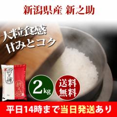  2kg VY VV ̂ ߘa6NY ꓙ  2kg  kCE͒ǉ  2L 