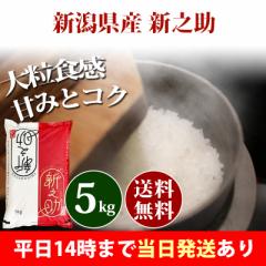  5kg VY VV ̂ ߘa6NY ꓙ  5kg  kCE͒ǉ  5L 