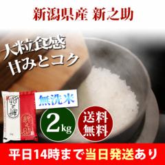  2kg VY VV ̂ ߘa6NY ꓙ  2kg  kCE͒ǉ  2L 