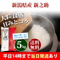 米 無洗米 5kg 新潟県産 新之助 しんのすけ 令和6年産 一等米 お米 5kg 送料無料 北海道・沖縄は追加送料 即日発送 5キロ お中元