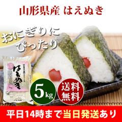 �� 5kg �R�`���Y �͂��ʂ� �ߘa7�N�Y �ꓙ�� ���� 5kg �������� �k�C���E����͒ǉ����� �c�Ɠ�14���܂ő����������� 5�L��