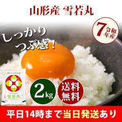 �� 2kg �R�`���Y ���� �䂫�킩�܂� �ߘa7�N�Y �ꓙ�� ���� 2kg �������� �k�C���E����͒ǉ����� �c�Ɠ�14���܂ő����������� 2�L��