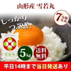 �� 5kg �R�`���Y ���� �䂫�킩�܂� �ߘa7�N�Y �ꓙ�� ���� 5kg �������� �k�C���E����͒ǉ����� �c�Ɠ�14���܂ő����������� 5�L��