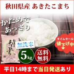 米 無洗米 5kg 秋田県産 あきたこまち 令和6年産 一等米 お米 5kg 送料無料 北海道・沖縄は追加送料 即日発送 5キロ お中元