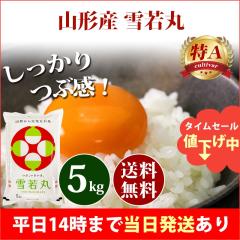  5kg R`Y  䂫킩܂ ߘa6NY A ꓙ  5kg  kCE͒ǉ  5L 