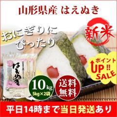 �V�� �� 10kg �R�`���Y �͂��ʂ� 5kg�~2�� �ߘa8�N�Y �ꓙ�� ���� 10kg �������� �k�C���E����͒ǉ����� �c�Ɠ�14���܂ő����������� 10