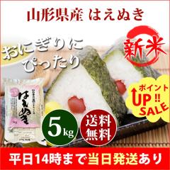 �V�� �� 5kg �R�`���Y �͂��ʂ� �ߘa8�N�Y �ꓙ�� ���� 5kg �������� �k�C���E����͒ǉ����� �c�Ɠ�14���܂ő����������� 5�L��