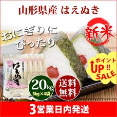 �V�� �� 20kg �R�`���Y �͂��ʂ� 5kg�~4�� �ߘa8�N�Y �ꓙ�� ���� 20kg �������� �k�C���E����͒ǉ����� 20�L��