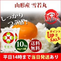 �V�� �� 10kg �R�`���Y ���� �䂫�킩�܂� 5kg�~2�� �ߘa8�N�Y �ꓙ�� ���� 10kg �������� �k�C���E����͒ǉ����� �c�Ɠ�14���܂ő���