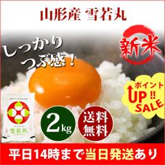 �V�� �� 2kg �R�`���Y ���� �䂫�킩�܂� �ߘa8�N�Y �ꓙ�� ���� 2kg �������� �k�C���E����͒ǉ����� �c�Ɠ�14���܂ő����������� 2