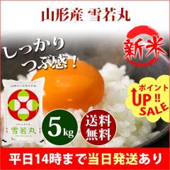 �V�� �� 5kg �R�`���Y ���� �䂫�킩�܂� �ߘa8�N�Y �ꓙ�� ���� 5kg �������� �k�C���E����͒ǉ����� �c�Ɠ�14���܂ő����������� 5