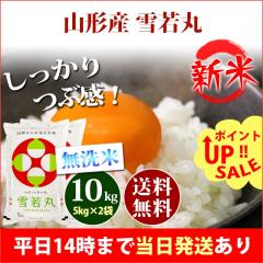 �V�� �� ������ 10kg �R�`���Y ���� �䂫�킩�܂� 5kg�~2�� �ߘa8�N�Y �ꓙ�� ���� 10kg �������� �k�C���E����͒ǉ����� �c�Ɠ�14��
