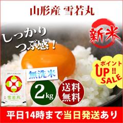 �V�� �� ������ 2kg �R�`���Y ���� �䂫�킩�܂� �ߘa8�N�Y �ꓙ�� ���� 2kg �������� �k�C���E����͒ǉ����� �c�Ɠ�14���܂ő�������