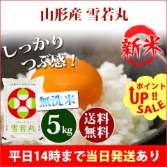 �V�� �� ������ 5kg �R�`���Y ���� �䂫�킩�܂� �ߘa8�N�Y �ꓙ�� ���� 5kg �������� �k�C���E����͒ǉ����� �c�Ɠ�14���܂ő�������