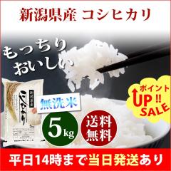 �� ������ 5kg �V�����Y �R�V�q�J�� �ߘa7�N�Y ���� 5kg �������� �k�C���E����͒ǉ����� �c�Ɠ�14���܂ő����������� 5�L��