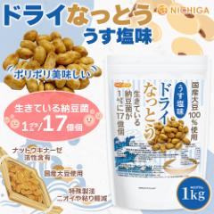 hCȂƂ  1 Y哤100gp DRY NATTO Ă[17 ibgELi[[ܗL ቷtCꐻ@