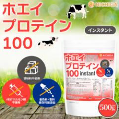 zGCveC100 yinstantz 500 v[ y[֐pizyz rBST (zܕsgp) WPC n₷