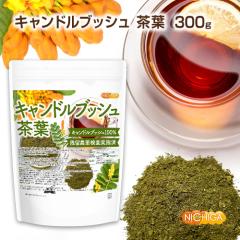 �L�����h���u�b�V�� ���t 300�� �y���[���֐�p�i�z�y���������z �c���_�򌟍����{�� ���̂悤�ȕ��� �L�����h���u�b�V��100�� [01] NICH