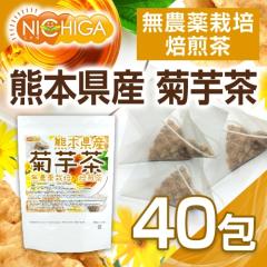 �F�{���Y �e�� 2���~40�� �i�����L���������i�j �y���[���֐�p�i�z�y���������z ���_��͔|�e�� [05] NICHIGA(�j�`�K)