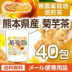 �F�{���Y �e�� 2���~40�� �i�����L���������i�j �y���[���֐�p�i�z�y���������z ���_��͔|�e�� [05] NICHIGA(�j�`�K)