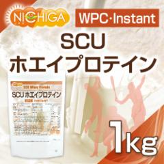 SCUzGCveC yinstantz 1 WPC i zsgp NICHIGA(j`K) TK0