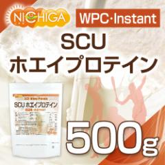 SCUzGCveC yinstantz 500 y[֑Iőz WPC i zsgp [03] NICHIGA(j`K)