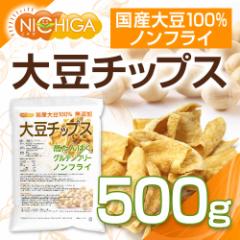 哤`bvX iSOY chipsj 500 \C`bvX Y哤100gp NICHIGA(j`K) TK1