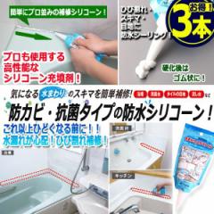 �v���d�l�h���V���R�[���I���܂��̃X�L�}�t�B��[3�{]  (�h�� �ϐ� ���� ���r���� �J���L ���R�� �ȒP��C �g���u�� ������ �ڒn �^�C��