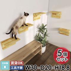 �L���b�g�E�H�[�N 5�� �Z�b�g �� �X�M �E�H�[���V�F���t �Ǌ|���I �E�H�[�����b�N �� ���t�� ��30 30cm ������� �ؐ� �C���e���A �Ǌ|