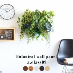 �ϗt�A�� ���G�} ���� ���L ��^ �Ǌ|�� �p�l�� ���� �t�F�C�N�O���[�� ���A�� Botanical a.class 09 �t