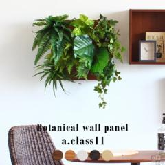 �t�F�C�N�O���[�� �ϗt�A�� ���G�} ������� ���A�� �ǂ��� �p�l�� �t�F�C�N ���L ���� ���� �C���e���A Botanical a.class 11 �t