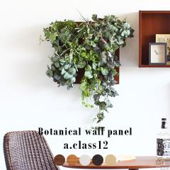 �t�F�C�N�O���[�� �ϗt�A�� ���G�} ������� ���A�� �ǂ��� �p�l�� �t�F�C�N ���L ���� ���� �C���e���A Botanical a.class 12 �t