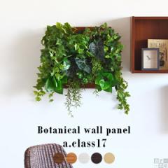 �l�H�ϗt�A�� ���G�} ������� �Ǌ|�� �p�l�� ���� ���L ���A�� �t�F�C�N�O���[�� Botanical a.class 17 �t