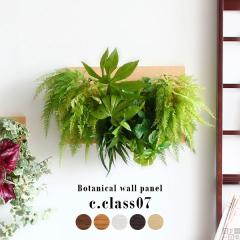 �l�H�ϗt�A�� ������� �ϗt�A�� ���G�} ���A�� �ǂ��� ���L ���� �Ǐ��� �Ǌ|�� �p�l�� �t�F�C�N�O���[�� Botanical c.class 07 �t