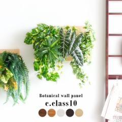 �l�H�ϗt�A�� ������� �ϗt�A�� ���G�} ���A�� �ǂ��� ���L ���� �Ǐ��� �Ǌ|�� �p�l�� �t�F�C�N�O���[�� Botanical c.class 10 �t